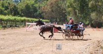 Competencias en Pirque y Santiago cierran el año del Enganche Competencias en Pirque y Santiago cierran el año del Enganche