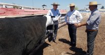 La utilidad del topero mecánico para mejorar la técnica al atajar La utilidad del topero mecánico para mejorar la técnica al atajar