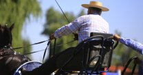 El Enganche desafía el invierno con un concurso en el Haras Tronador de Osorno El Enganche desafía el invierno con un concurso en el Haras Tronador de Osorno