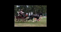 Suspenden concurso de enganche en el Haras Tronador Suspenden concurso de enganche en el Haras Tronador