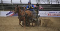 Enganche marcó doble presencia en Fiestas Patrias Enganche marcó doble presencia en Fiestas Patrias