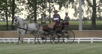 Carruajes de ocho chocheras mostraron su destreza en el Haras de Pirque Carruajes de ocho chocheras mostraron su destreza en el Haras de Pirque