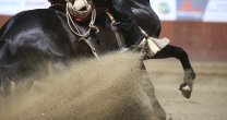 Los Resultados del Clasificatorio Norte de Batuco 2018 Los Resultados del Clasificatorio Norte de Batuco 2018