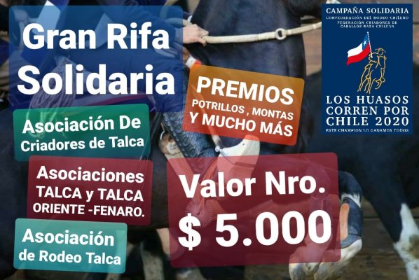 Huasos talquinos tienen preparada una gran Rifa en conjunto para ayudar a su gente