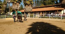 Charla sobre trabajo y presentación del caballo en una exposición de Francisco Rojas Charla sobre trabajo y presentación del caballo en una exposición de Francisco Rojas