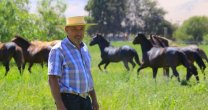 Alliyay: La crianza del caballo chileno en el Valle de Copiapó Alliyay: La crianza del caballo chileno en el Valle de Copiapó