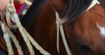 Informativo sobre Mesa de Trabajo entre la Federación del Rodeo y el Ministerio del Deporte Informativo sobre Mesa de Trabajo entre la Federación del Rodeo y el Ministerio del Deporte