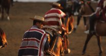 ¡Hay luz verde! El Rodeo vuelve este fin de semana en siete medialunas ¡Hay luz verde! El Rodeo vuelve este fin de semana en siete medialunas
