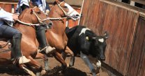 Revisa el Calendario de Rodeos para el fin de semana Revisa el Calendario de Rodeos para el fin de semana