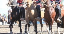 Asociación Los Andes trabaja unida y con entusiasmo para el rodeo de Calle Larga Asociación Los Andes trabaja unida y con entusiasmo para el rodeo de Calle Larga