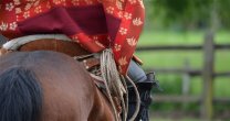 Resumen corralero: Los momentos destacados del retorno de los Rodeos a las Medialunas Resumen corralero: Los momentos destacados del retorno de los Rodeos a las Medialunas