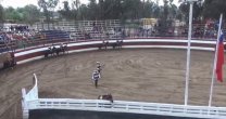 La Medialuna Alto del Yugo recibe el reinicio de los Rodeos en Quillota La Medialuna Alto del Yugo recibe el reinicio de los Rodeos en Quillota
