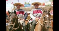 Joel Osorio: En general estamos dedicados a la caballada nueva Joel Osorio: En general estamos dedicados a la caballada nueva