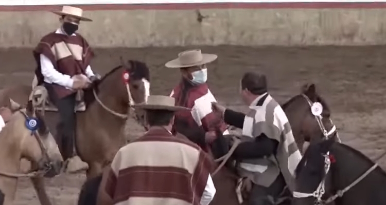 Pedro David Pinto: Con la pandemia hemos tenido más tiempo para trabajar caballos nuevos
