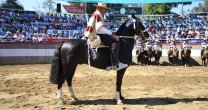 Omar Sánchez: Se han extrañado los rodeos, pero gracias a Dios he tenido harta pega Omar Sánchez: Se han extrañado los rodeos, pero gracias a Dios he tenido harta pega