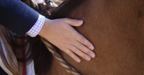 Presidentes de asociaciones: La Federación del Rodeo está trabajando seriamente en el Proceso Constituyente Presidentes de asociaciones: La Federación del Rodeo está trabajando seriamente en el Proceso Constituyente