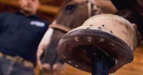 META Herraduras ofrece alternativas aerodinámicas y competitivas META Herraduras ofrece alternativas aerodinámicas y competitivas