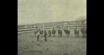 Anuario de 1969: El rodeo inverosímil, Rapa Nui se vistió de huaso Anuario de 1969: El rodeo inverosímil, Rapa Nui se vistió de huaso