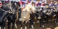 Ferochi implementó encuesta sobre el 75° Campeonato Nacional de Rodeo