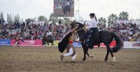 Disfruta el atractivo programa de la Semana de la Chilenidad 2024