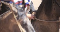Rama de U. Santo Tomás de Talca tendrá su rodeo el 27 de agosto Rama de U. Santo Tomás de Talca tendrá su rodeo el 27 de agosto