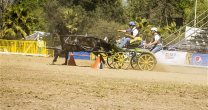 La competencia de Enganche en la Semana de la Chilenidad La competencia de Enganche en la Semana de la Chilenidad