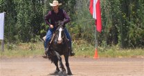 La Final de la Rienda Internacional a lomos de caballos chilenos