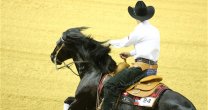 Gastón May expuso en Congreso Internacional: Fue una oportunidad de mostrar al caballo chileno al mundo