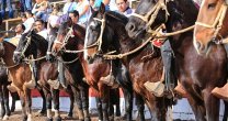 Asociación Arica y Tarapacá tiene premiación, rodeo y charla técnica Asociación Arica y Tarapacá tiene premiación, rodeo y charla técnica