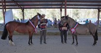 Asociación Santiago tiene Exposición y Rodeo Para Criadores en Til Til