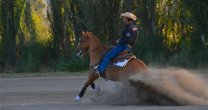 César Muñoz ganó Final de Rienda Internacional con caballo chileno y alto puntaje