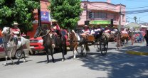 Criadores de Ñuble realizaron lanzamiento de sus eventos de este fin de semana Criadores de Ñuble realizaron lanzamiento de sus eventos de este fin de semana