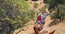 Despidieron el Año Viejo a caballo por la cordillera Despidieron el Año Viejo a caballo por la cordillera