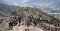 Criadores de Coquimbo realizaron cabalgata con homenaje especial