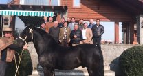 Federación de Criadores llevó su reunión de directorio a Temuco Federación de Criadores llevó su reunión de directorio a Temuco