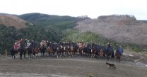 Huasos de Carahue protagonizaron primera cabalgata en la Cordillera de Nahuelbuta