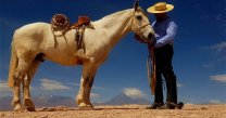 Documental: Caballo Chileno, La Travesía por el Desierto de Atacama