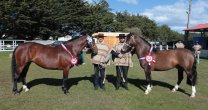 Expo Magallanes será parte de los atractivos del XXIX Festival de la Esquila Expo Magallanes será parte de los atractivos del XXIX Festival de la Esquila