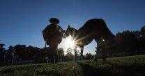Así se desarrollaron los Grandes Premios de la Expo Nacional 2019 Así se desarrollaron los Grandes Premios de la Expo Nacional 2019