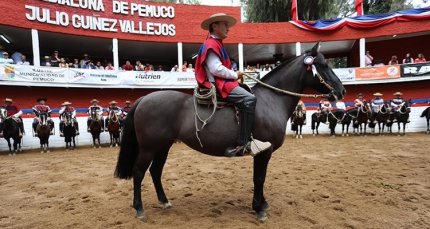 Santa Isabel empató en ranking con más ejemplares en Rancagua