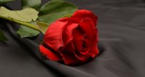 Falleció Rosa Oportus, viuda de Hugo Cardemil Falleció Rosa Oportus, viuda de Hugo Cardemil
