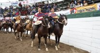 Loma Suave lideró a las cuatro colleras locales que premiaron en la Segunda Libre Loma Suave lideró a las cuatro colleras locales que premiaron en la Segunda Libre