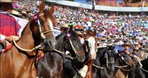 Vuelve a sentir la emoción del 71° Campeonato Nacional de Rodeo con este espectacular resumen