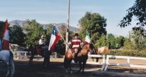 Malal Potro Lolco falleció y dejó su huella como caballo chileno en Estados Unidos