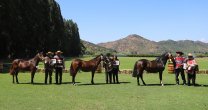 Criadores de Colchagua tendrán destacada participación en Congreso Mundial de Enoturismo Criadores de Colchagua tendrán destacada participación en Congreso Mundial de Enoturismo