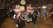 Los grandes hitos del Rodeo y el Caballo Chileno en el 2019