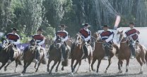 Palmas de Peñaflor se llevó el aplauso del público que llegó hasta la Expo Región de Coquimbo Palmas de Peñaflor se llevó el aplauso del público que llegó hasta la Expo Región de Coquimbo