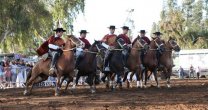 Gran éxito de público tuvieron actuaciones de Palmas en Zapallar y Catapilco Gran éxito de público tuvieron actuaciones de Palmas en Zapallar y Catapilco