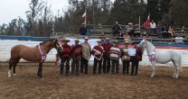 Ferocam comenzará este sábado muestras de caballos chilenos rumbo a su Final en Rancagua