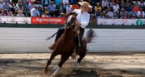 Romané Soto: Hay que cumplir las medidas sanitarias y mantener la calma Romané Soto: Hay que cumplir las medidas sanitarias y mantener la calma
